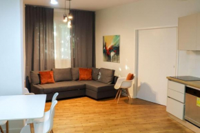Spacious Family and Group Apartment